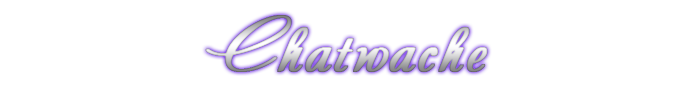 Chatwache